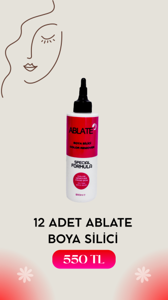 Ablate Ciltten Boya Silici 12x200 ml